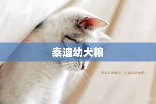 泰迪幼犬糧