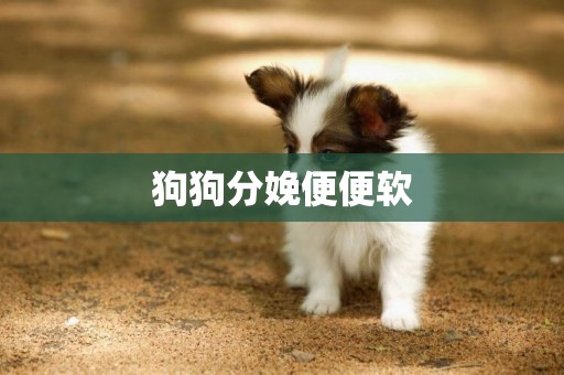 狗狗分娩便便軟