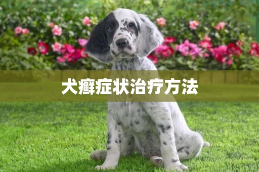 犬癬癥狀治療方法