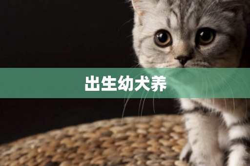 出生幼犬養