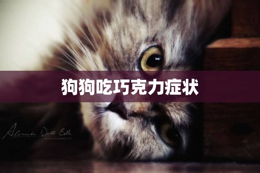狗狗吃巧克力癥狀