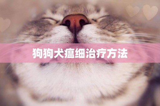 狗狗犬瘟細治療方法