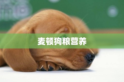 麥頓狗糧營養