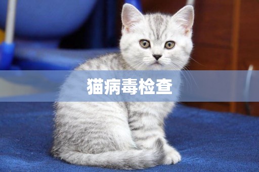 貓病毒檢查