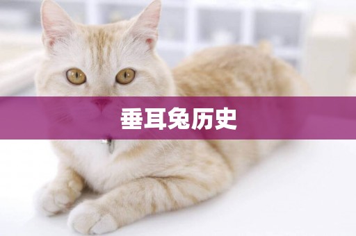 垂耳兔歷史