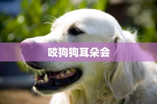 咬狗狗耳朵會