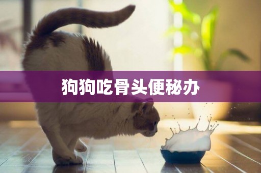狗狗吃骨頭便秘辦