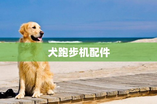 犬跑步機配件