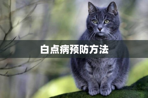 白點病預防方法
