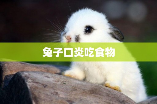 兔子口炎吃食物