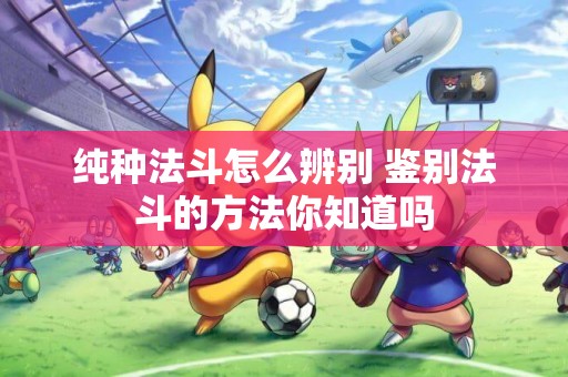 純種法斗怎么辨別 鑒別法斗的方法你知道嗎