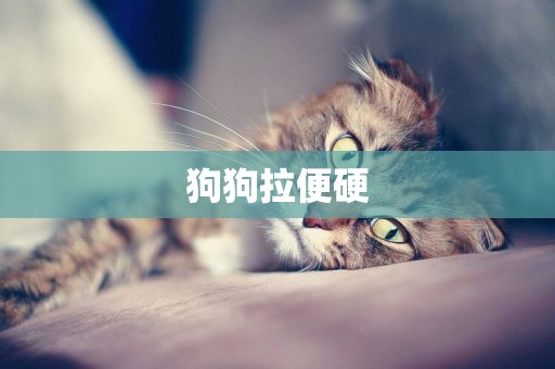 狗狗拉便硬
