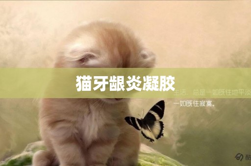 貓牙齦炎凝膠