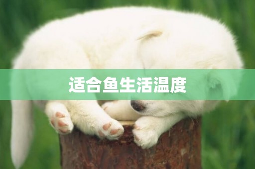 適合魚生活溫度