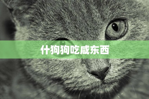 什狗狗吃咸東西