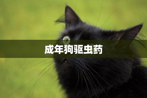 成年狗驅蟲藥