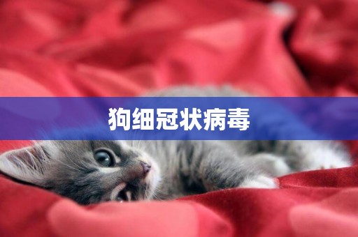 狗細冠狀病毒