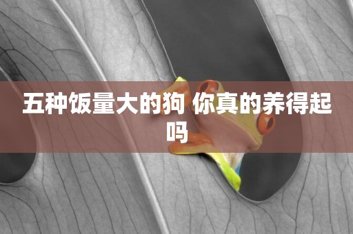 五種飯量大的狗 你真的養得起嗎