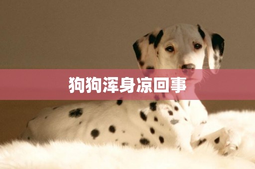 狗狗渾身涼回事