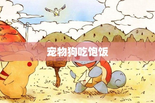 寵物狗吃飽飯