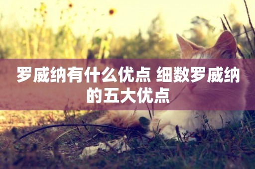 羅威納有什么優點 細數羅威納的五大優點 羅威納有什么優點 細數羅威納的五大優點
