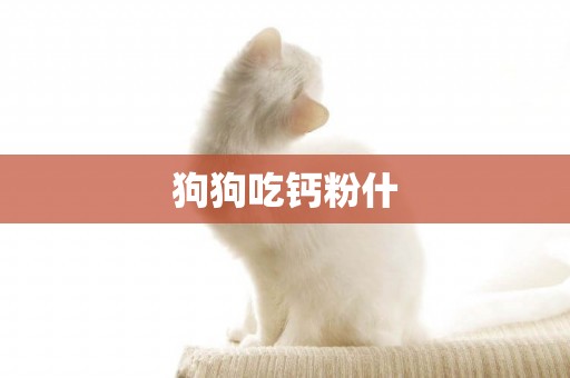 狗狗吃鈣粉什