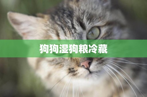 狗狗濕狗糧冷藏
