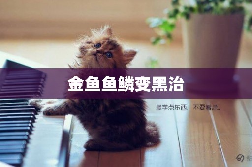 金魚魚鱗變黑治