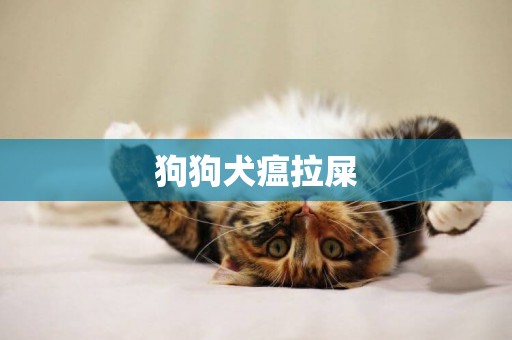 狗狗犬瘟拉屎