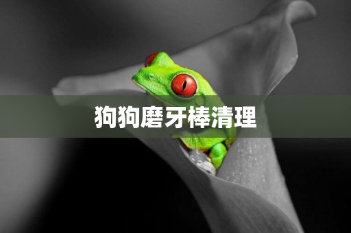 狗狗磨牙棒清理