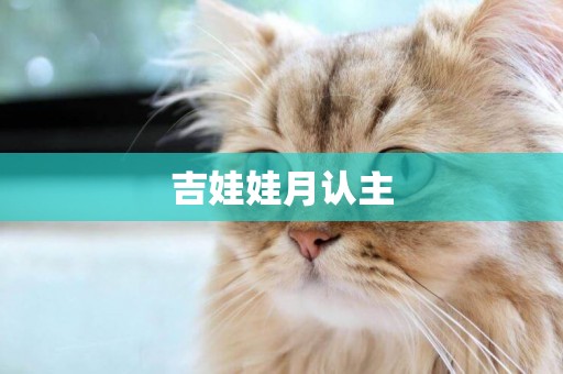 吉娃娃月認主