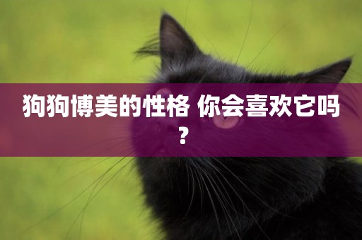 狗狗博美的性格 你會喜歡它嗎？