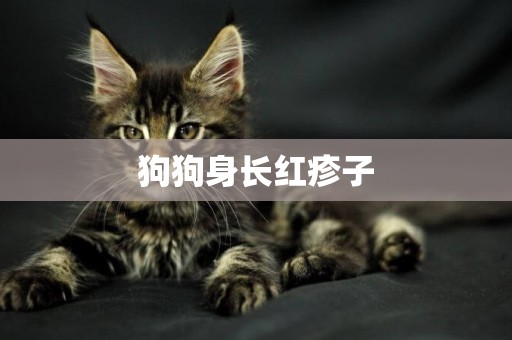 狗狗身長紅疹子