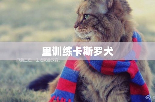 里訓練卡斯羅犬