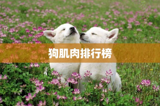 狗肌肉排行榜