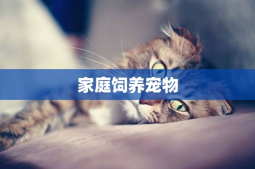 家庭飼養寵物
