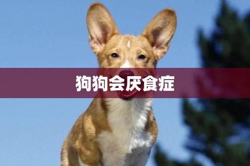 狗狗會厭食癥