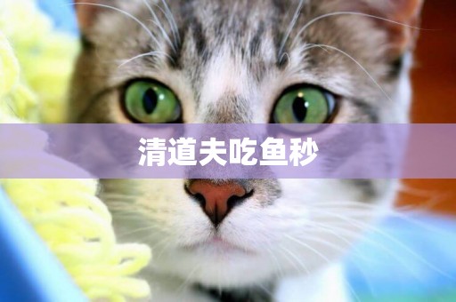 清道夫吃魚秒