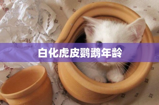 白化虎皮鸚鵡年齡
