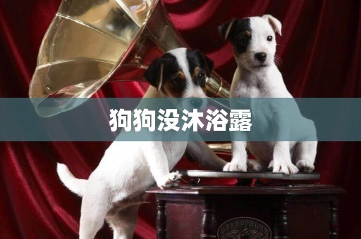 狗狗沒沐浴露