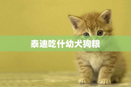 泰迪吃什幼犬狗糧
