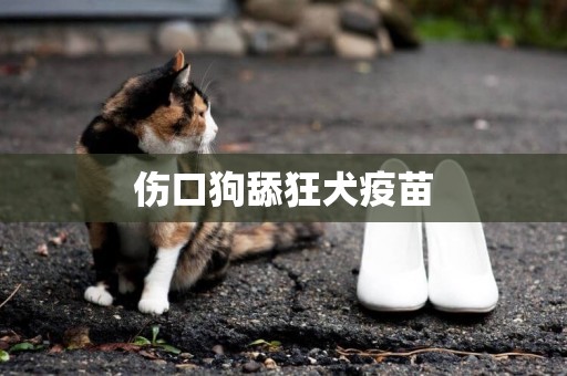 傷口狗舔狂犬疫苗