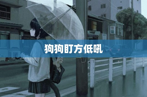 狗狗盯方低吼