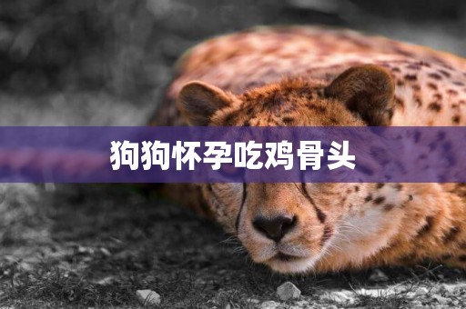 狗狗懷孕吃雞骨頭