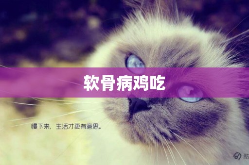 軟骨病雞吃