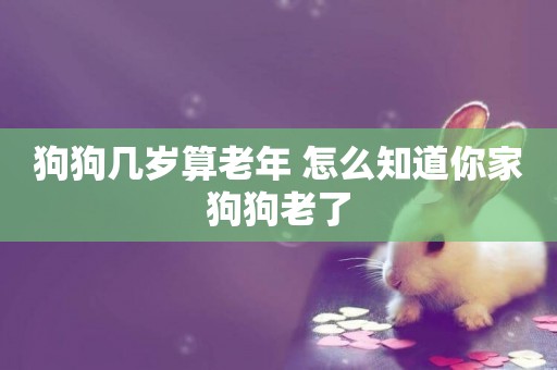 狗狗幾歲算老年 怎么知道你家狗狗老了