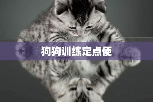 狗狗訓練定點便