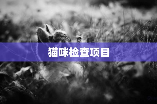 貓咪檢查項目