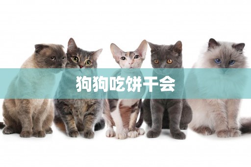 狗狗吃餅干會