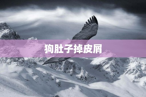 狗肚子掉皮屑